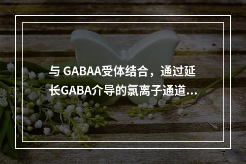 与 GABAA受体结合，通过延长GABA介导的氯离子通道开放