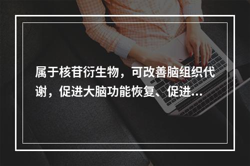 属于核苷衍生物，可改善脑组织代谢，促进大脑功能恢复、促进苏醒