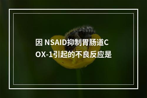 因 NSAID抑制胃肠道COX-1引起的不良反应是