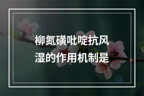 柳氮磺吡啶抗风湿的作用机制是