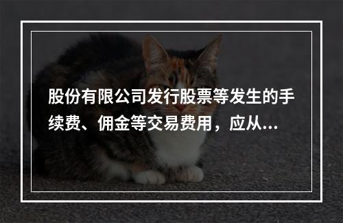 股份有限公司发行股票等发生的手续费、佣金等交易费用，应从溢价