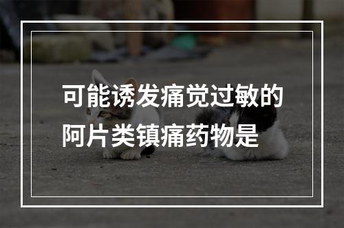 可能诱发痛觉过敏的阿片类镇痛药物是