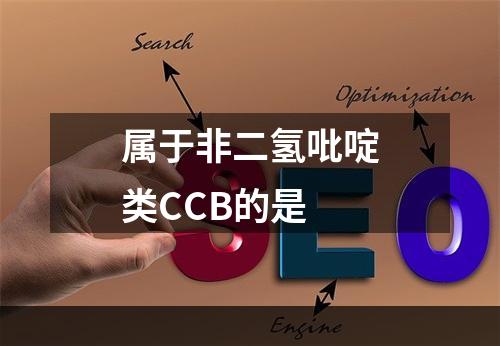 属于非二氢吡啶类CCB的是