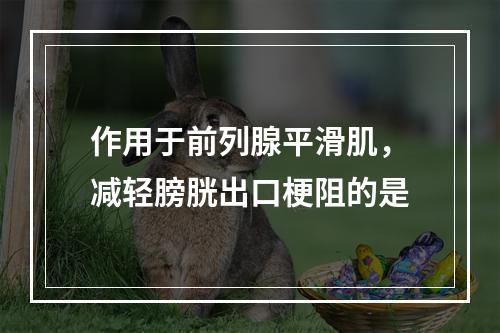 作用于前列腺平滑肌，减轻膀胱出口梗阻的是