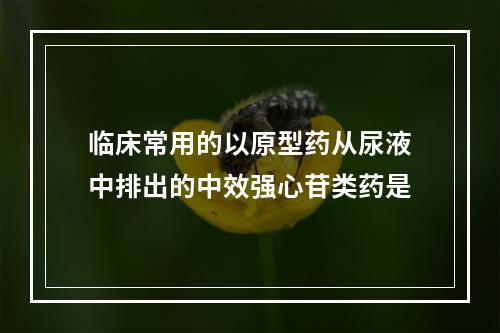 临床常用的以原型药从尿液中排出的中效强心苷类药是