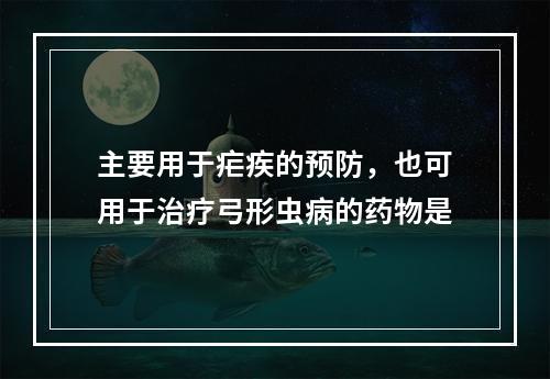 主要用于疟疾的预防，也可用于治疗弓形虫病的药物是