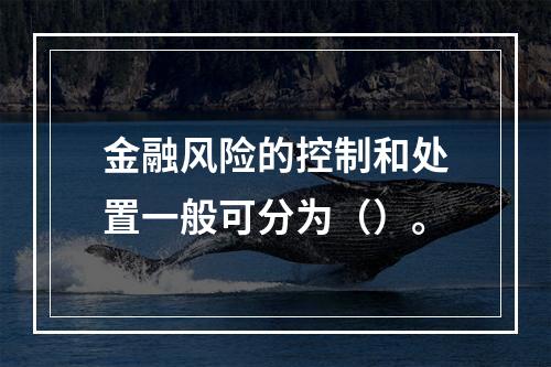 金融风险的控制和处置一般可分为（）。