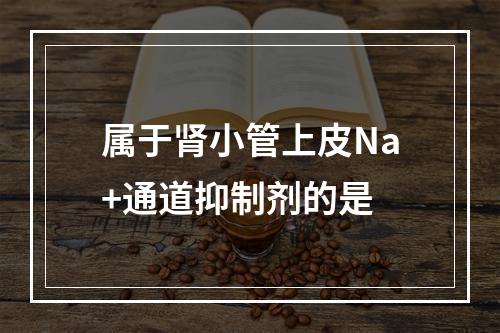 属于肾小管上皮Na+通道抑制剂的是