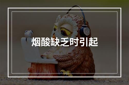 烟酸缺乏时引起