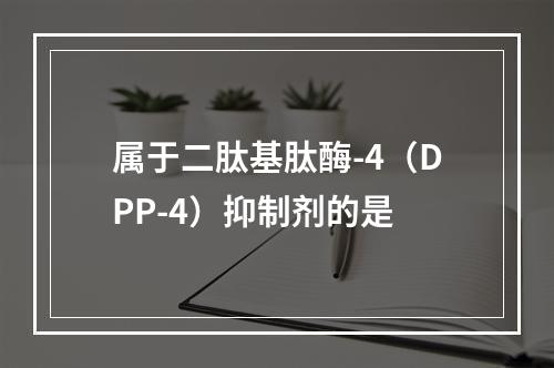 属于二肽基肽酶-4（DPP-4）抑制剂的是