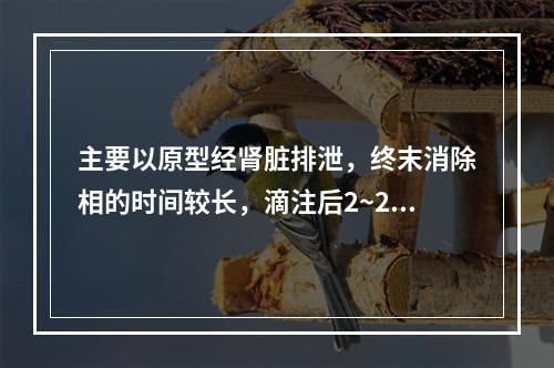 主要以原型经肾脏排泄，终末消除相的时间较长，滴注后2~28日