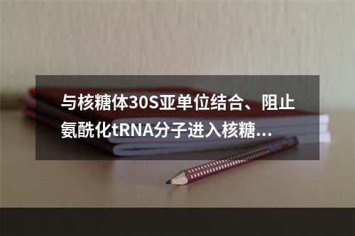 与核糖体30S亚单位结合、阻止氨酰化tRNA分子进入核糖体A