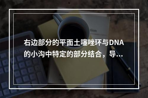 右边部分的平面土噻唑环与DNA的小沟中特定的部分结合，导敢D