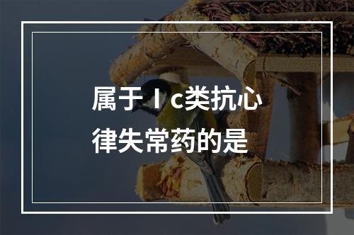 属于Ⅰc类抗心律失常药的是