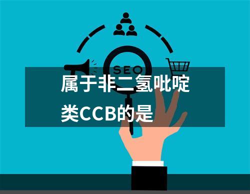 属于非二氢吡啶类CCB的是