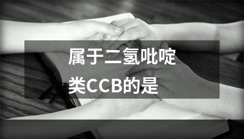 属于二氢吡啶类CCB的是