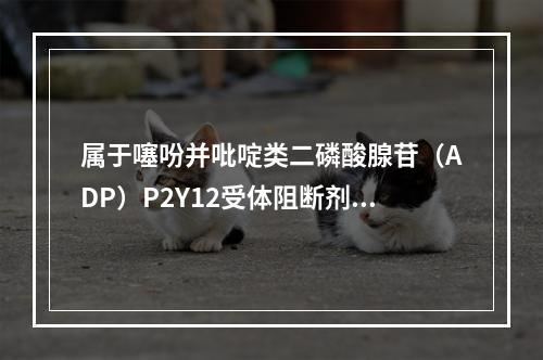 属于噻吩并吡啶类二磷酸腺苷（ADP）P2Y12受体阻断剂的是