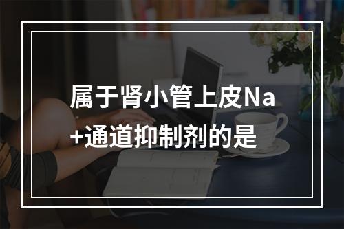 属于肾小管上皮Na+通道抑制剂的是