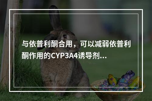 与依普利酮合用，可以减弱依普利酮作用的CYP3A4诱导剂是