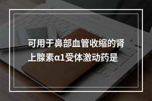 可用于鼻部血管收缩的肾上腺素α1受体激动药是