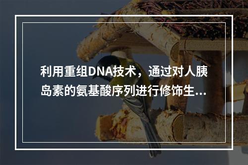 利用重组DNA技术，通过对人胰岛素的氨基酸序列进行修饰生成的