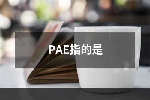 PAE指的是