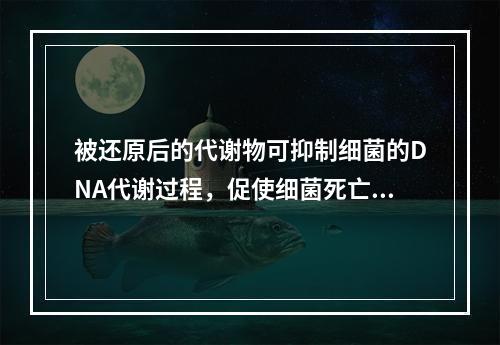 被还原后的代谢物可抑制细菌的DNA代谢过程，促使细菌死亡，并