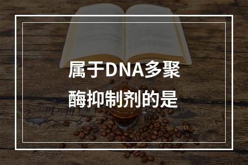 属于DNA多聚酶抑制剂的是