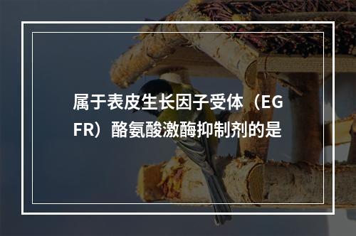 属于表皮生长因子受体（EGFR）酪氨酸激酶抑制剂的是