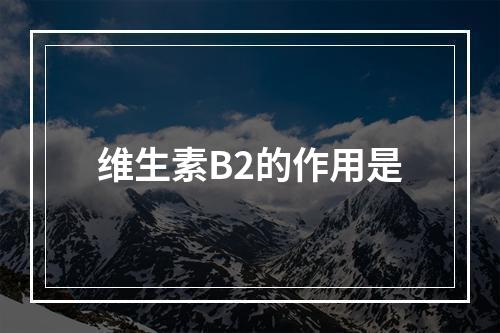 维生素B2的作用是