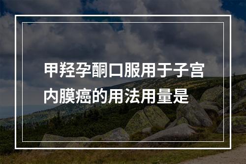 甲羟孕酮口服用于子宫内膜癌的用法用量是