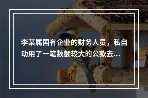 李某属国有企业的财务人员，私自动用了一笔数额较大的公款去炒股