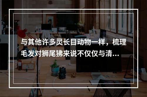 与其他许多灵长目动物一样，梳理毛发对狮尾狒来说不仅仅与清洁有