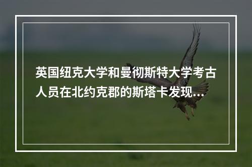 英国纽克大学和曼彻斯特大学考古人员在北约克郡的斯塔卡发现一处