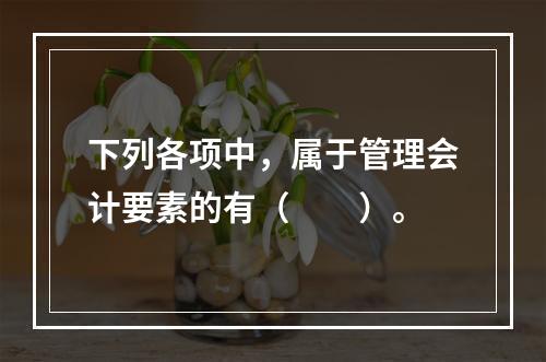 下列各项中，属于管理会计要素的有（　　）。