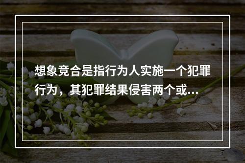 想象竞合是指行为人实施一个犯罪行为，其犯罪结果侵害两个或两个