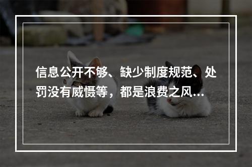 信息公开不够、缺少制度规范、处罚没有威慑等，都是浪费之风形成