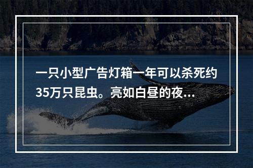 一只小型广告灯箱一年可以杀死约35万只昆虫。亮如白昼的夜晚还