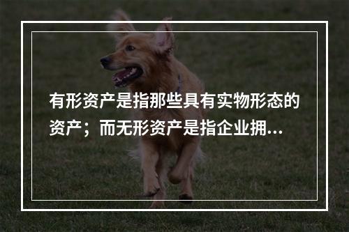 有形资产是指那些具有实物形态的资产；而无形资产是指企业拥有或