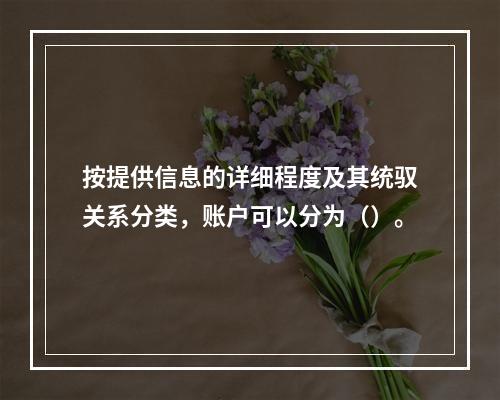 按提供信息的详细程度及其统驭关系分类，账户可以分为（）。