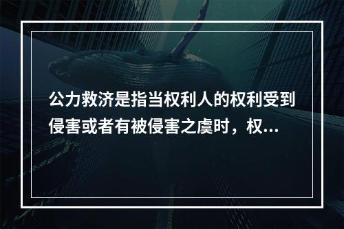 公力救济是指当权利人的权利受到侵害或者有被侵害之虞时，权利人