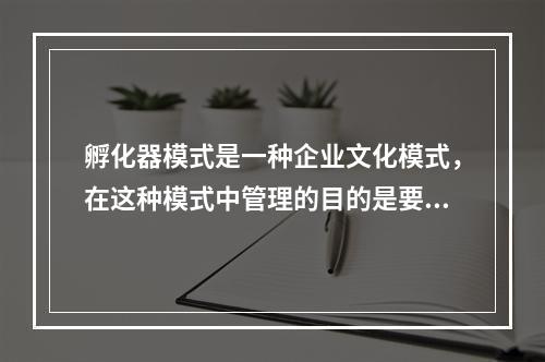 孵化器模式是一种企业文化模式，在这种模式中管理的目的是要消除