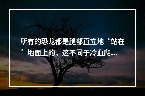 所有的恐龙都是腿部直立地“站在”地面上的，这不同于冷血爬行动