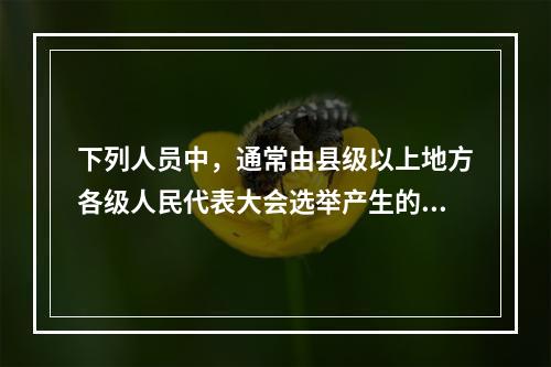 下列人员中，通常由县级以上地方各级人民代表大会选举产生的是（