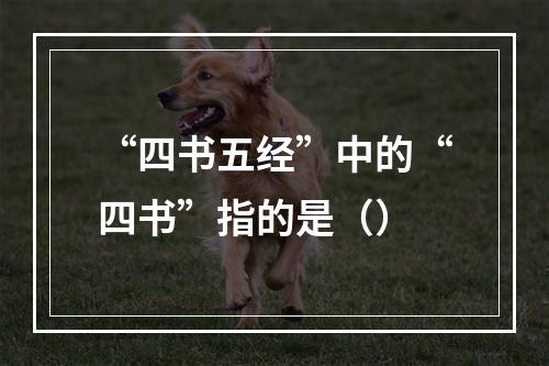 “四书五经”中的“四书”指的是（）