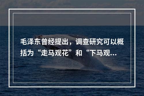 毛泽东曾经提出，调查研究可以概括为“走马观花”和“下马观花”