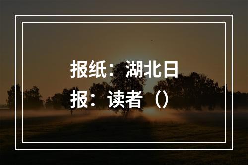 报纸：湖北日报：读者（）