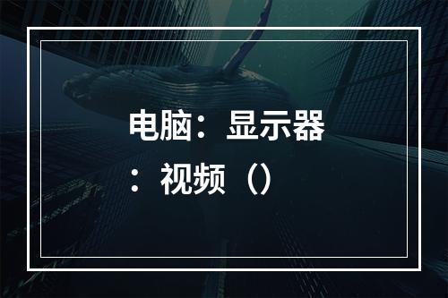 电脑：显示器：视频（）