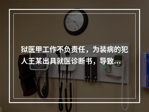 狱医甲工作不负责任，为装病的犯人王某出具就医诊断书，导致王某