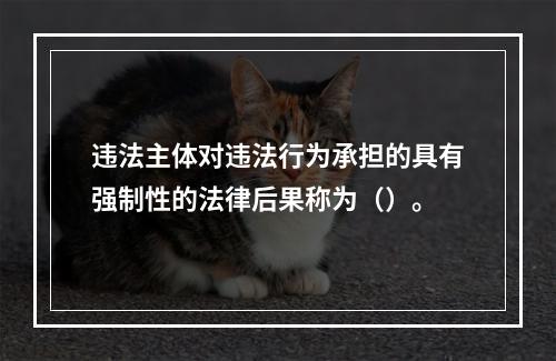 违法主体对违法行为承担的具有强制性的法律后果称为（）。